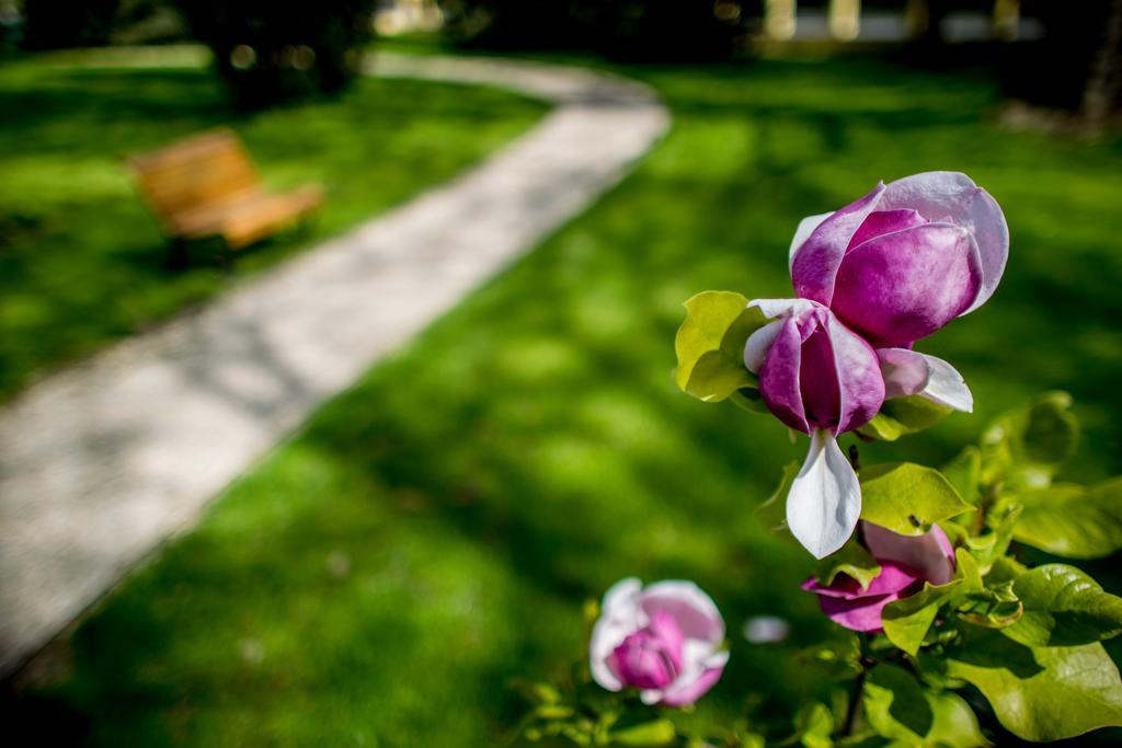 Hotel Batthyany Kuria Zalacsány Zewnętrze zdjęcie